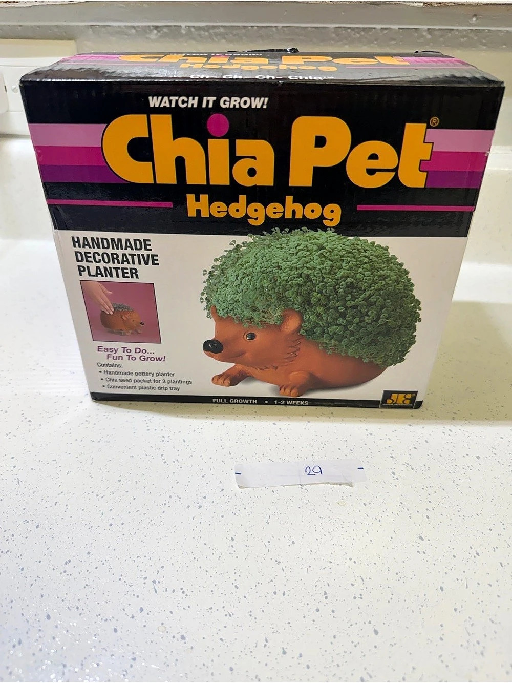Chia Pet Hedgehog Decorative Planter